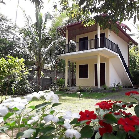 Hotel Blue Point Rest Tangalle Esterno foto