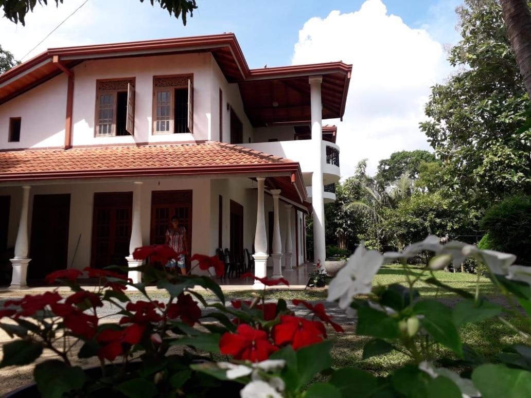 Hotel Blue Point Rest Tangalle Esterno foto
