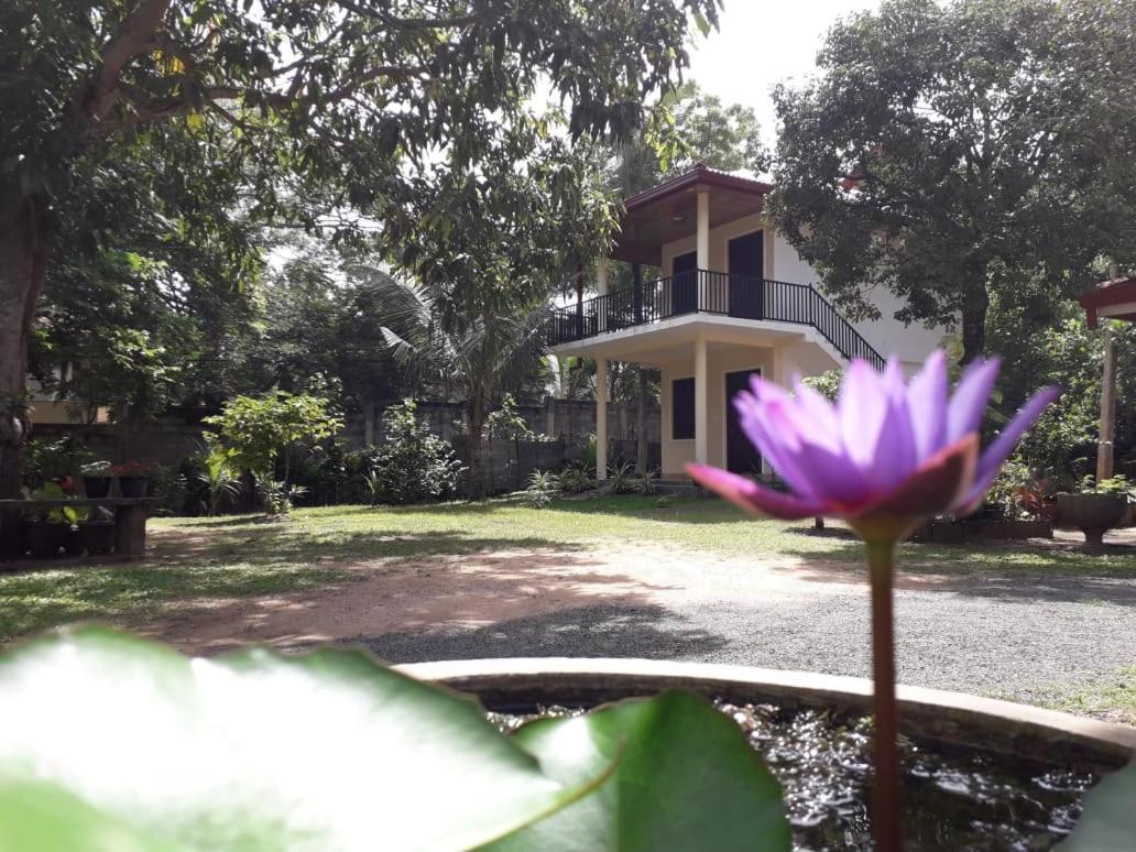 Hotel Blue Point Rest Tangalle Esterno foto