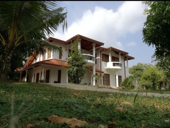 Hotel Blue Point Rest Tangalle Esterno foto